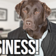 Image for article titled This Week in the Business: 'Max Payne 3's F***ing Brilliant.'